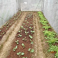 DSCN4177.JPG