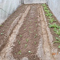 DSCN4093.JPG