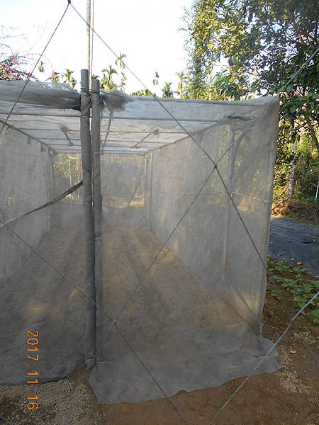 DSCN4066.JPG