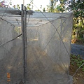 DSCN4066.JPG