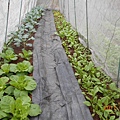 DSCN4209.JPG