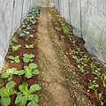 DSCN4178.JPG