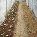 DSCN4179.JPG