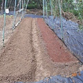 DSCN4048.JPG
