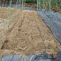 DSCN4034.JPG