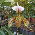 DSCN4564.JPG