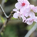 IMG_8697.JPG