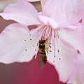 IMG_8701.JPG
