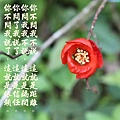 100-23IMG_9451.JPG