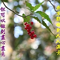 100-28IMG_9453.JPG