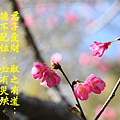 100-32IMG_9489.JPG