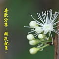 100-45IMG_9565.JPG