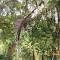 DSCN5059.JPG