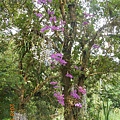 DSCN5058.JPG