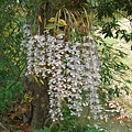 DSCN5060.JPG