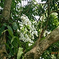 DSCN5063.JPG