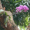 DSCN5068.JPG