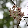 100-111IMG_9935.JPG