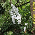 100-115IMG_9947.JPG