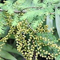100-116IMG_9953.JPG