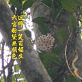 100-123DSCN5118.JPG