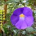 100-129DSCN5149.JPG
