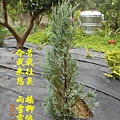 100-150DSCN5225.JPG