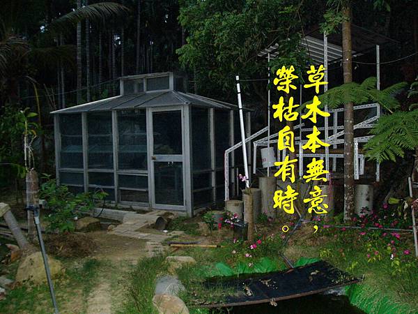 100-15394.1.2蘭花室及瞭望台完成.JPG