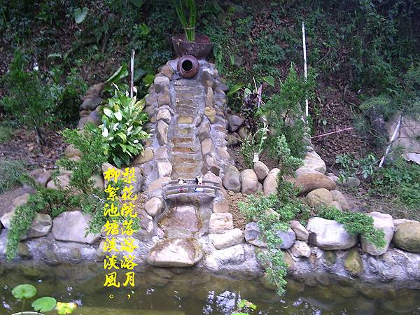 100-161697.5.8DIY生態池20.流水道旁種植真柏及白鶴芋綠化.JPG