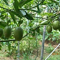 DSCN5392.JPG