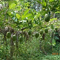 DSCN5390.JPG