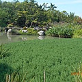 DSCN5620.JPG