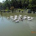 DSCN5626.JPG