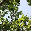 IMG_0038.JPG