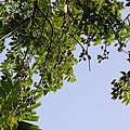 IMG_0036.JPG