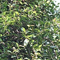 IMG_0020.JPG