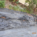 DSCN4938.JPG