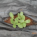 DSCN4994.JPG