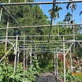 DSCN5311.JPG