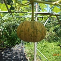 DSCN5531.JPG