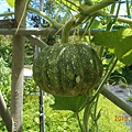 DSCN5533.JPG