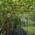 DSCN5549.JPG