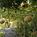 DSCN5582.JPG