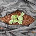 DSCN4996.JPG