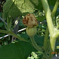 DSCN5360.JPG