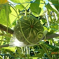 DSCN5461.JPG