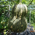 DSCN5532.JPG