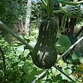 DSCN5535.JPG