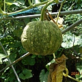 DSCN5534.JPG
