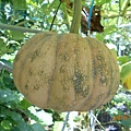 DSCN5536.JPG
